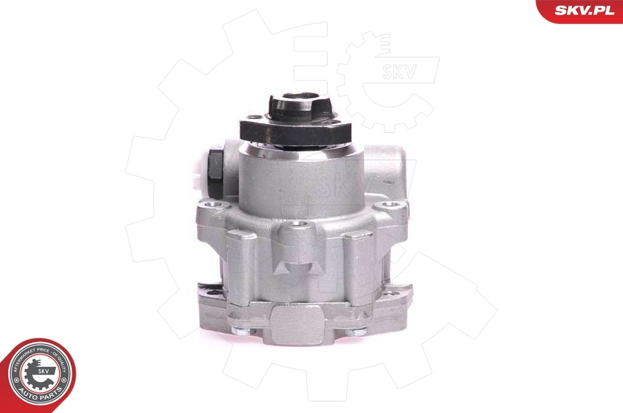 Hydraulic Pump, steering
